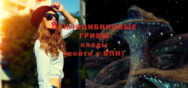 тгк Козельск