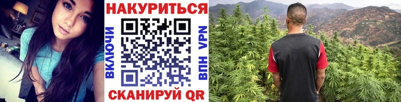 Каннабис сатива  гидра как зайти  Краснослободск 